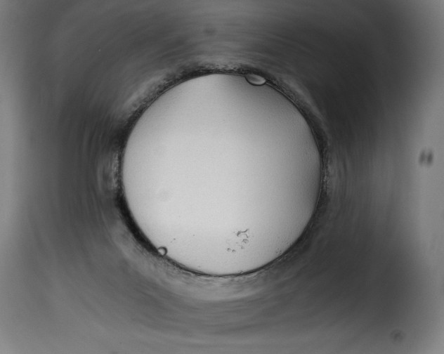 X0000115240023200911201630