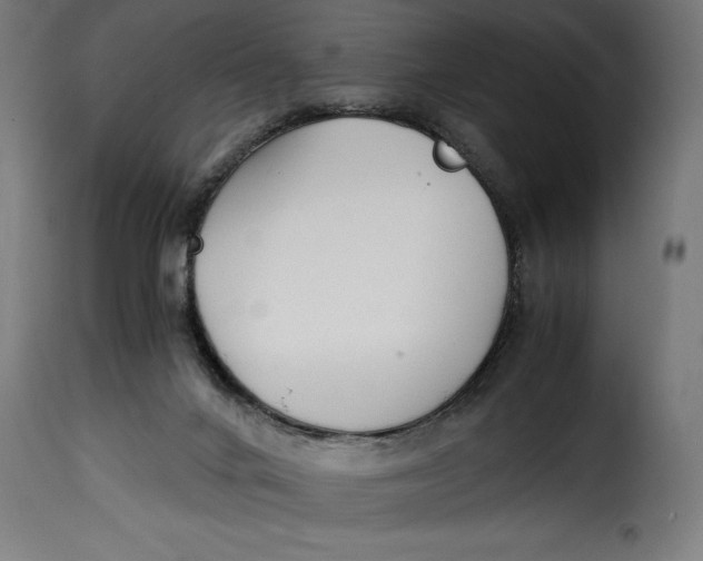 X0000115240024200911201630