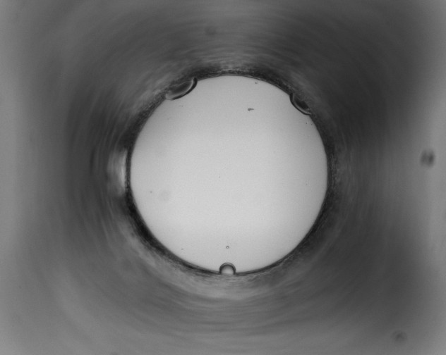 X0000115240028200911201630