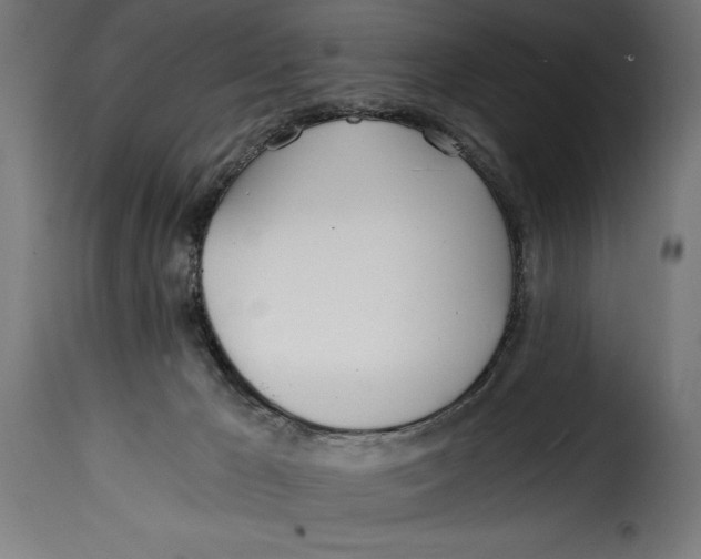 X0000115240029200911201630