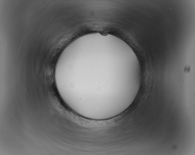 X0000115240031200911201630