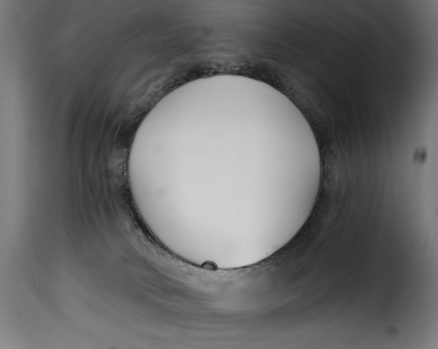 X0000115240034200911201630