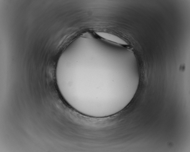 X0000115240035200911201630