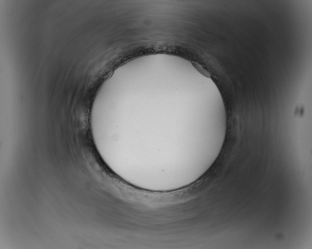 X0000115240039200911201630