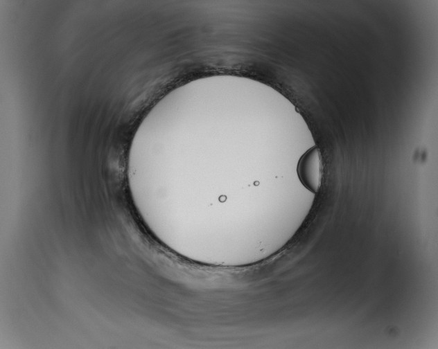 X0000115240040200911201630