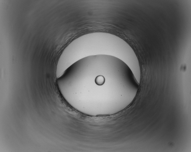 X0000115240041200911201630
