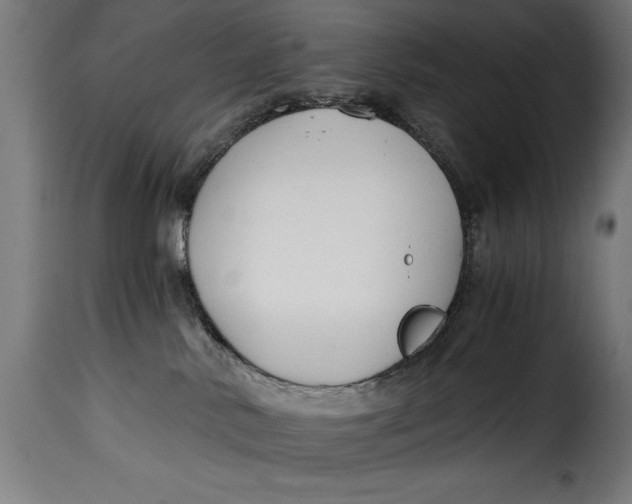 X0000115240042200911201630