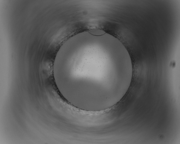 X0000115240043200911201630