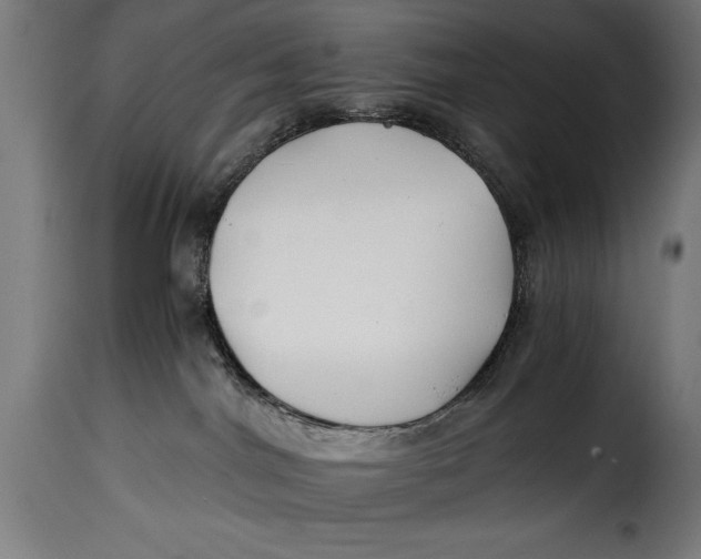 X0000115240044200911201630