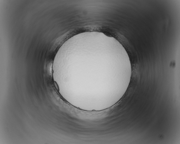 X0000115240047200911201630
