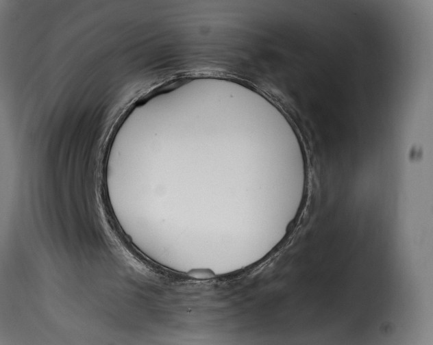 X0000115240049200911201629