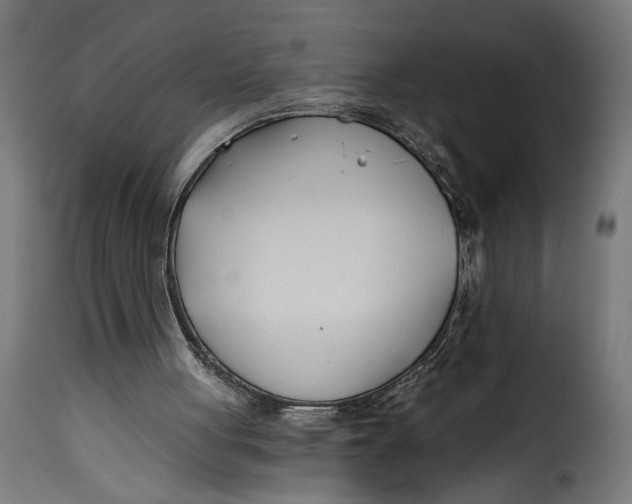 X0000115240051200911201629