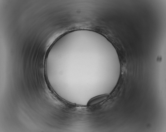 X0000115240052200911201629