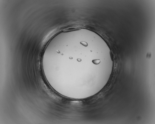 X0000115240053200911201629
