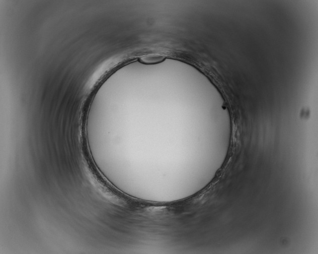X0000115240054200911201629