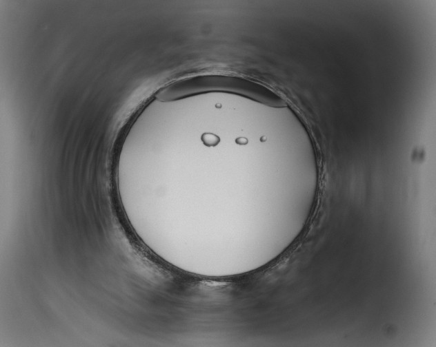 X0000115240055200911201629