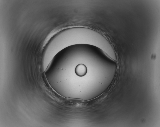 X0000115240056200911201629