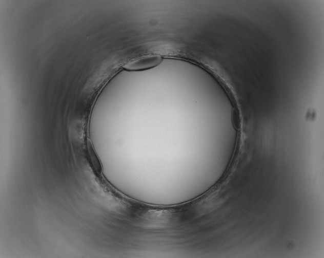 X0000115240057200911201629