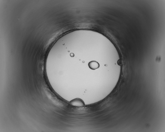 X0000115240059200911201629