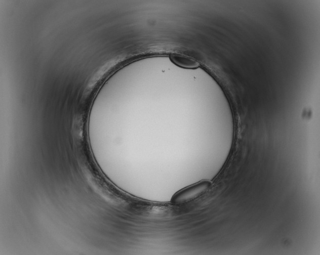 X0000115240060200911201629