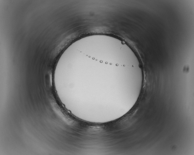 X0000115240061200911201629