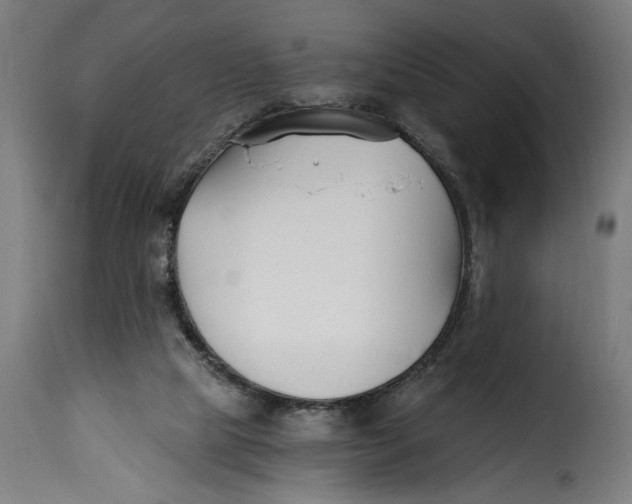 X0000115240065200911201629