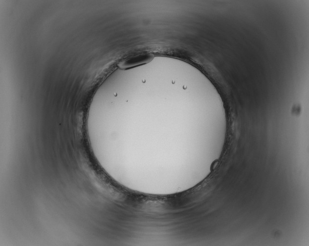 X0000115240066200911201629
