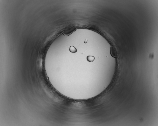 X0000115240067200911201629