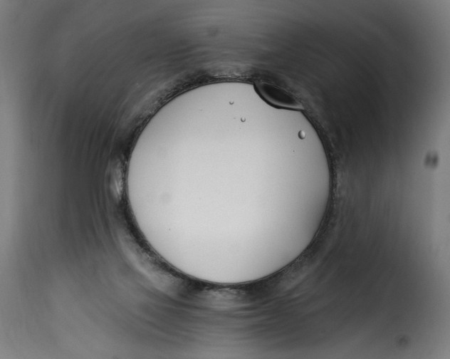 X0000115240069200911201629