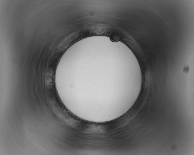 X0000115240073200911201629