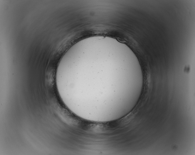 X0000115240074200911201629