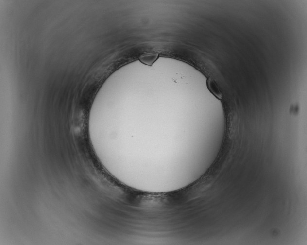 X0000115240077200911201630