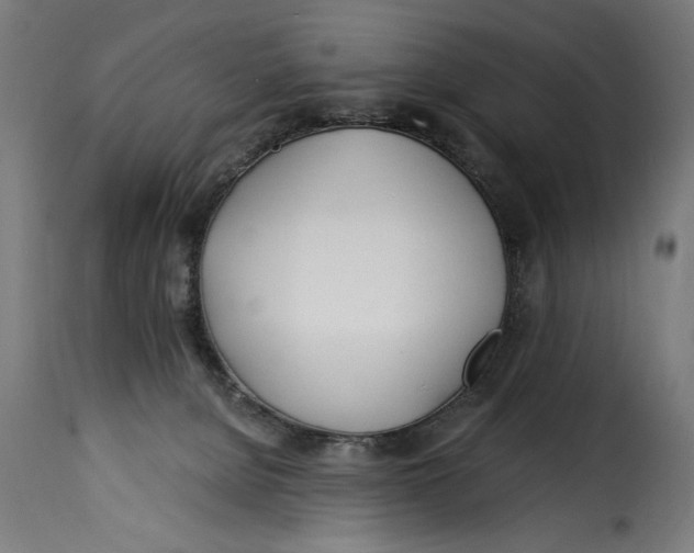 X0000115240080200911201630