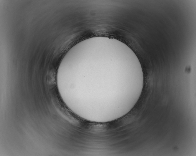 X0000115240081200911201630