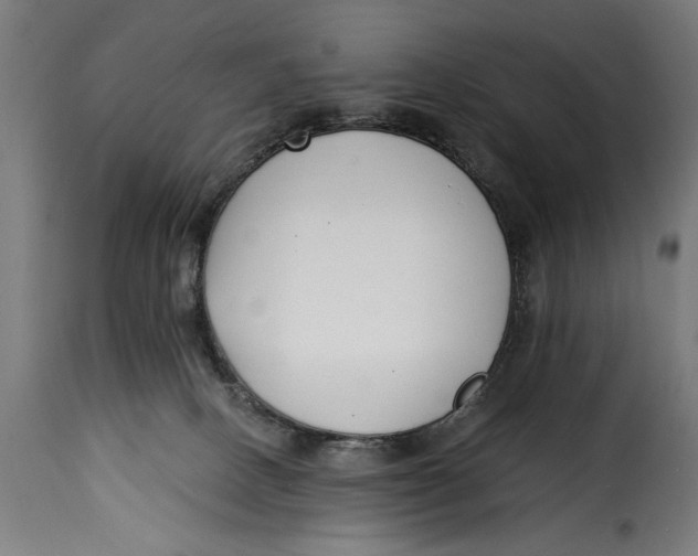 X0000115240082200911201630