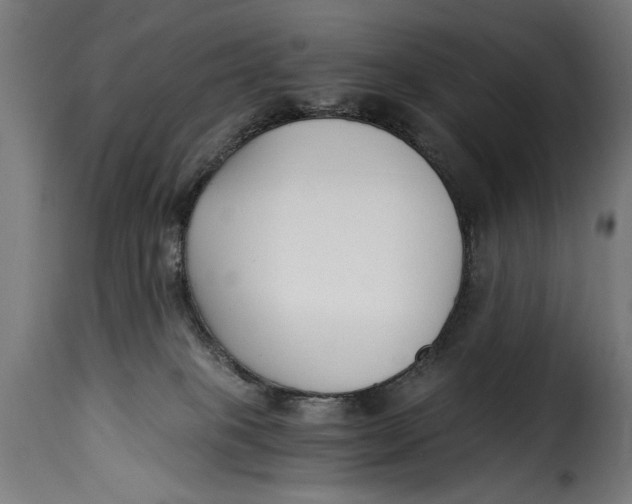 X0000115240085200911201630