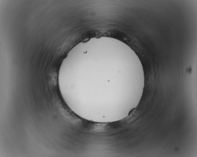 X0000115240090200911201630