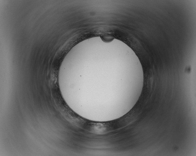 X0000115240091200911201630