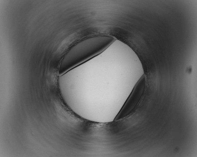 X0000115240092200911201630