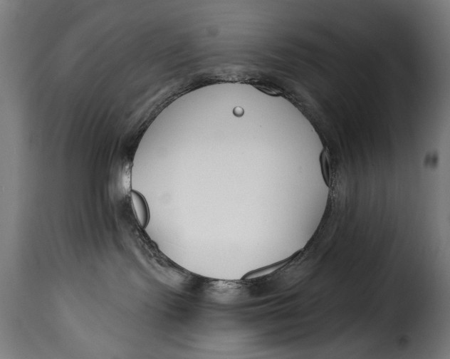 X0000115240095200911201630