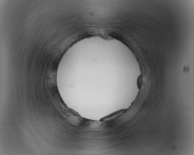 X0000115240096200911201630