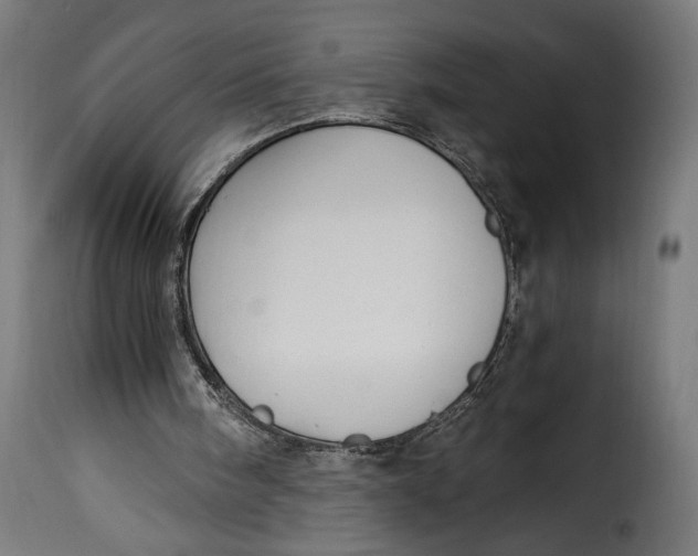 X0000115240098200911201629