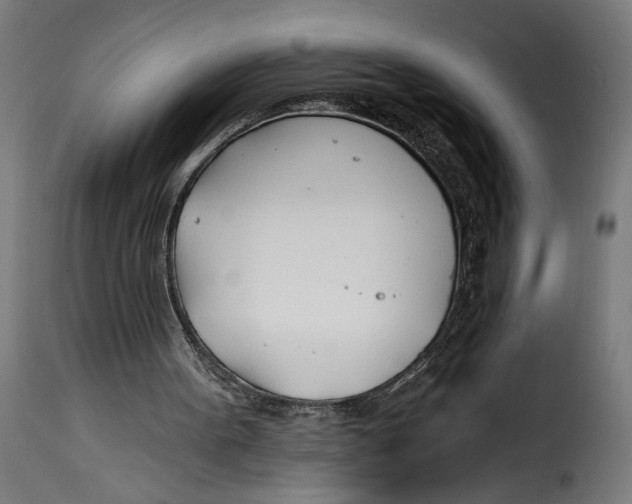 X0000115240099200911201629