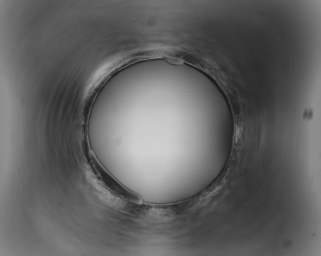 X0000115240101200911201629