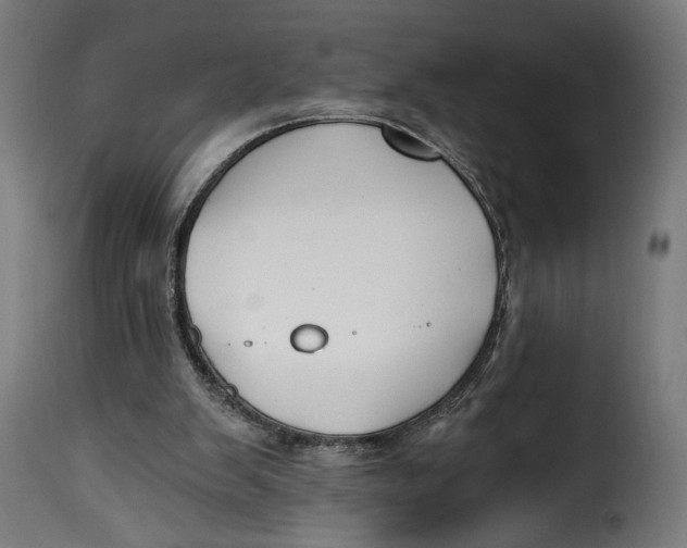 X0000115240103200911201629