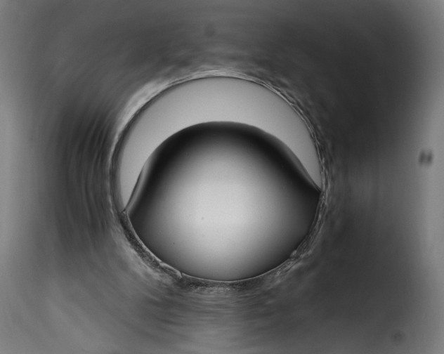 X0000115240104200911201629
