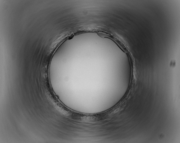 X0000115240105200911201629