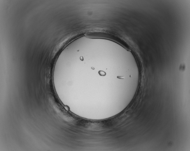 X0000115240107200911201629