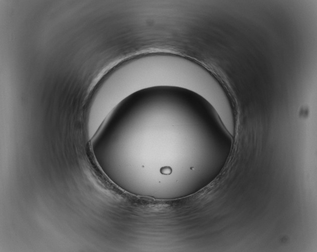 X0000115240108200911201629
