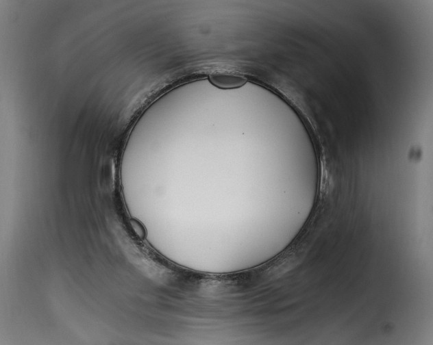 X0000115240109200911201629